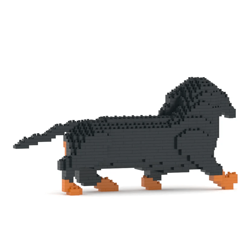 Dachshund
