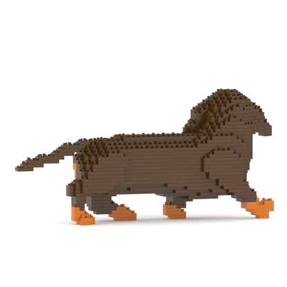 Dachshund