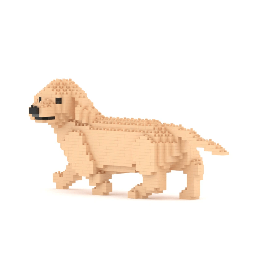 Dachshund